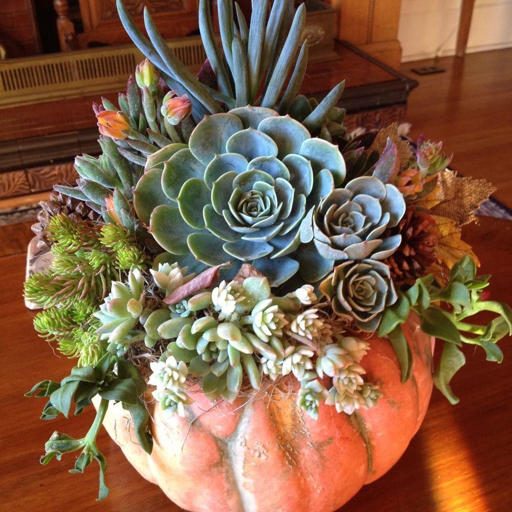 Bed & Breakfast Calderwood Healdsburg